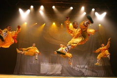 L'art ancestral des ma?tres de Shaolin