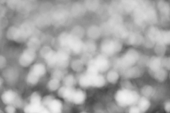 OG130331-5D-0043