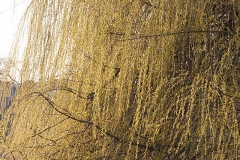 OG130402-5D-0053